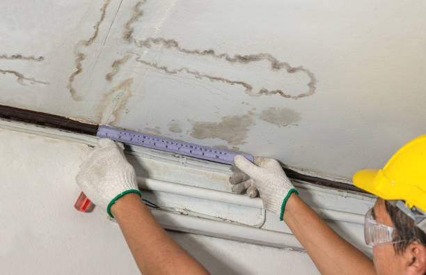 Reliable Water Damage contractor in Rogers, ND by Water Damage Irwin